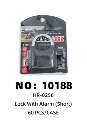 Alarm Locks