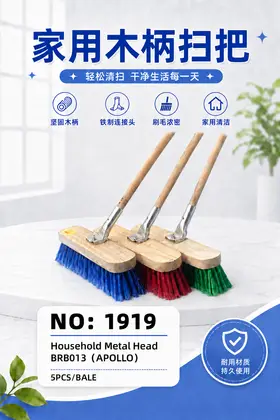 APOLLO Plastic Brooms