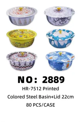 Printed Colour Iron Basins With Lid 22cm