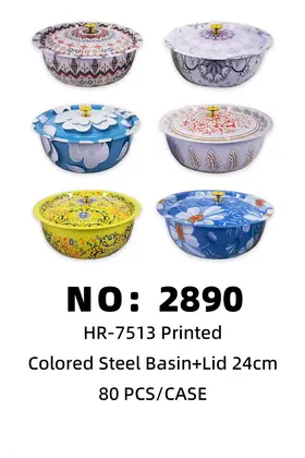 Printed Colour Iron Basins With Lid 24cm