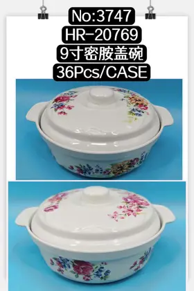 Melamine Lidded Bowls 9 Inch