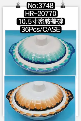 Melamine Lidded Bowls 10.5 Inch