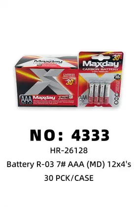 R03 7# Batteries