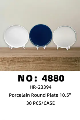 10.5 Inch Raised-Rim Plates Ceramic Plates