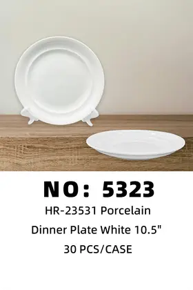 10.5 Inch Shallow Soup Plate Ceramic Plates