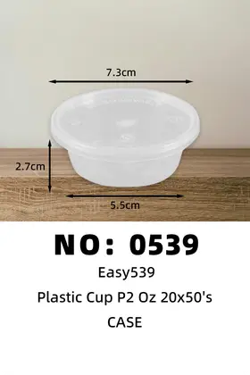 Easy539 Disposable Plastic Lunch Boxes