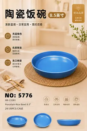 8.25 Inch Bowls Ceramic Bowls 24/
