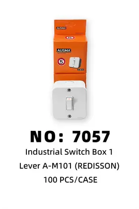 A-M101 2*2 1-Gang + Switch Boxes