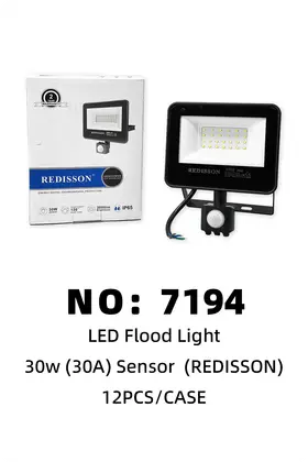 REDISSON Outdoor Motion-Sensor LED Lights 30W