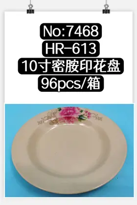 Melamine Plates 10 Inch