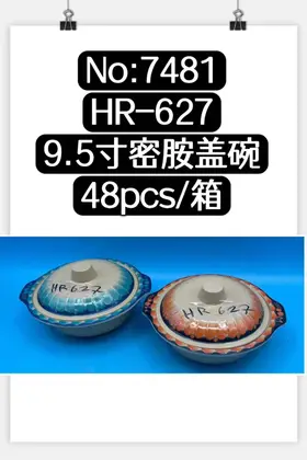 9.5 Inch Melamine Lidded Bowls