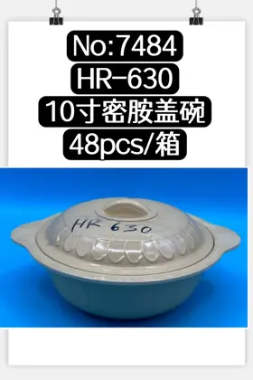 10 Inch Melamine Lidded Bowls